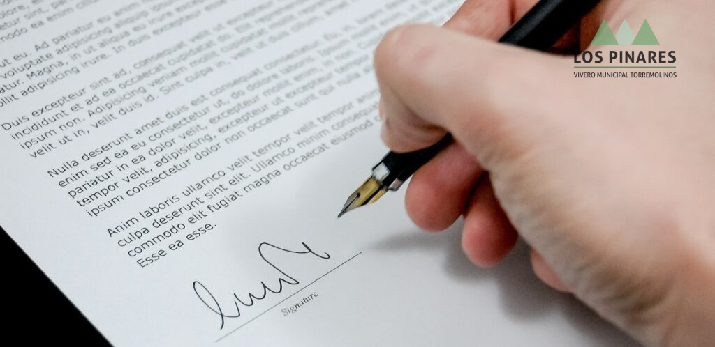 documento