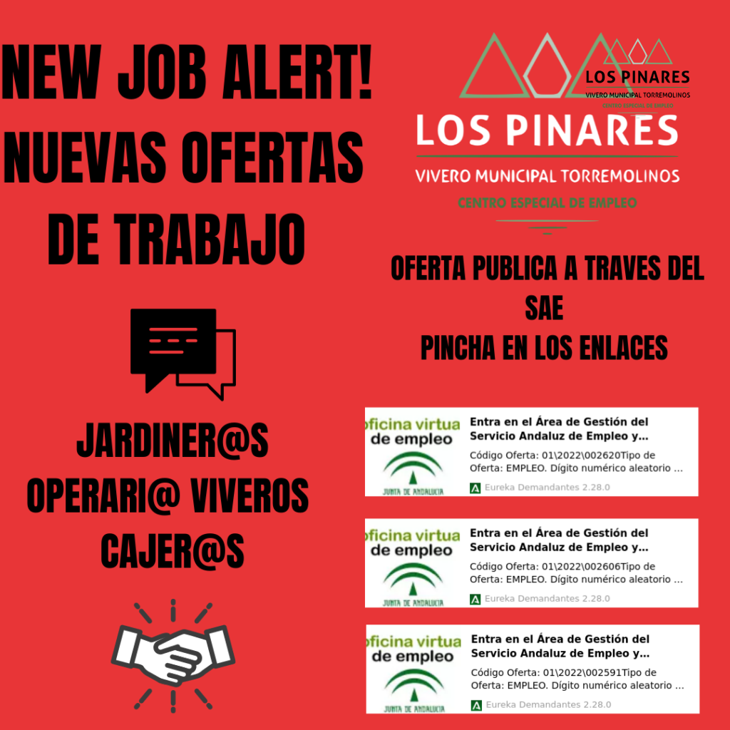el equipo de los pinares cee (1)